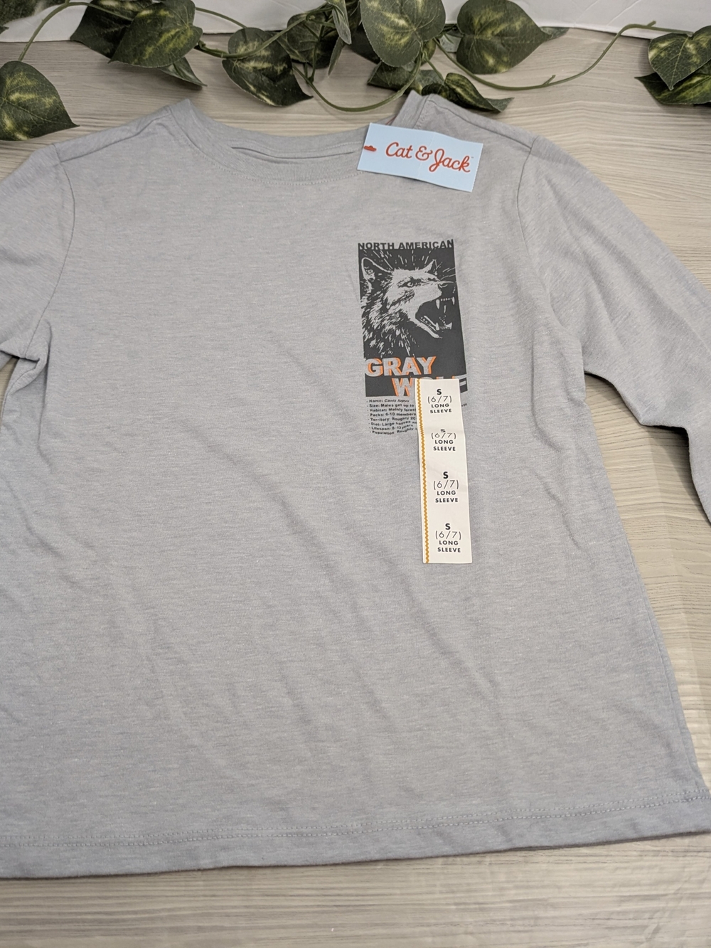 Cat & Jack Boys' Gray Graphic Crewneck Shirt